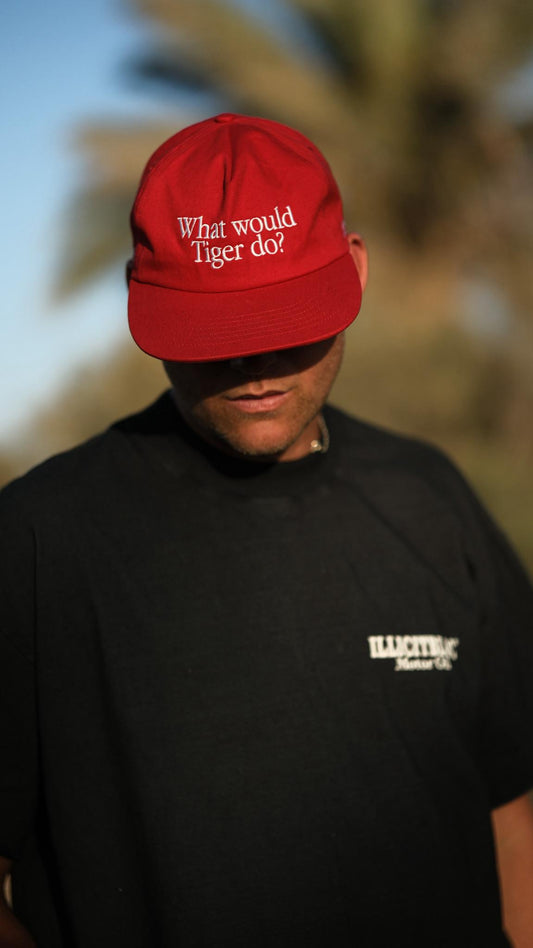 What Would Tiger Do?